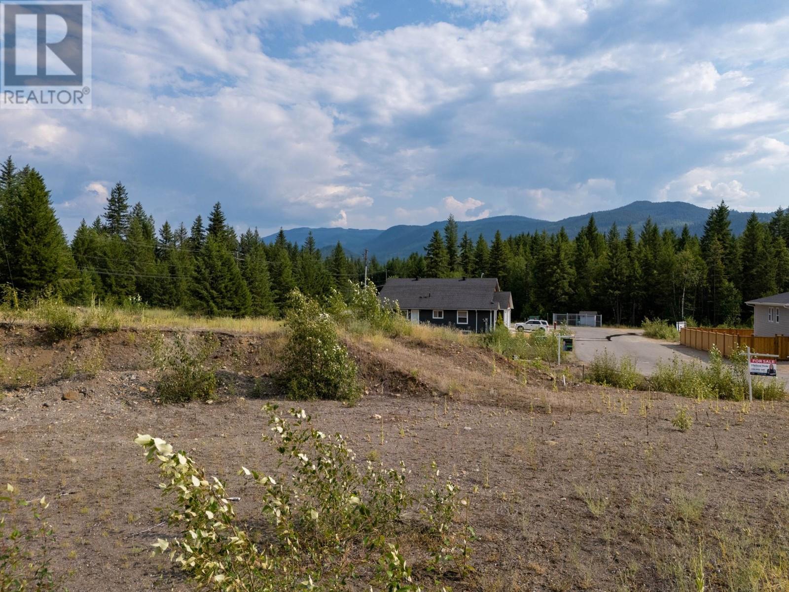 461 Lytton Cres, Clearwater, British Columbia  V0E 1N2 - Photo 9 - 179841