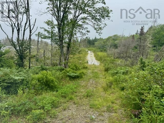 Lot Highway 3 Road, East Green Harbour, Nova Scotia  B0T 1L0 - Photo 16 - 202416685