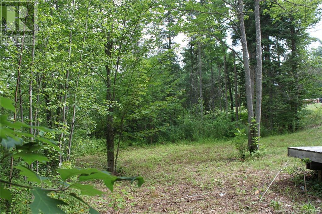 - Holland Lane, Cambridge-Narrows, New Brunswick  E4C 1Y8 - Photo 17 - NB103074