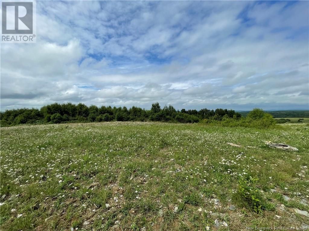 Lot 0 Route 550, Lindsay, New Brunswick  E7M 5M4 - Photo 7 - NB103084