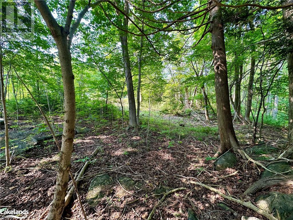 Lot 5 Highway 26, Meaford (Municipality), Ontario  N4K 5W4 - Photo 6 - 40620454