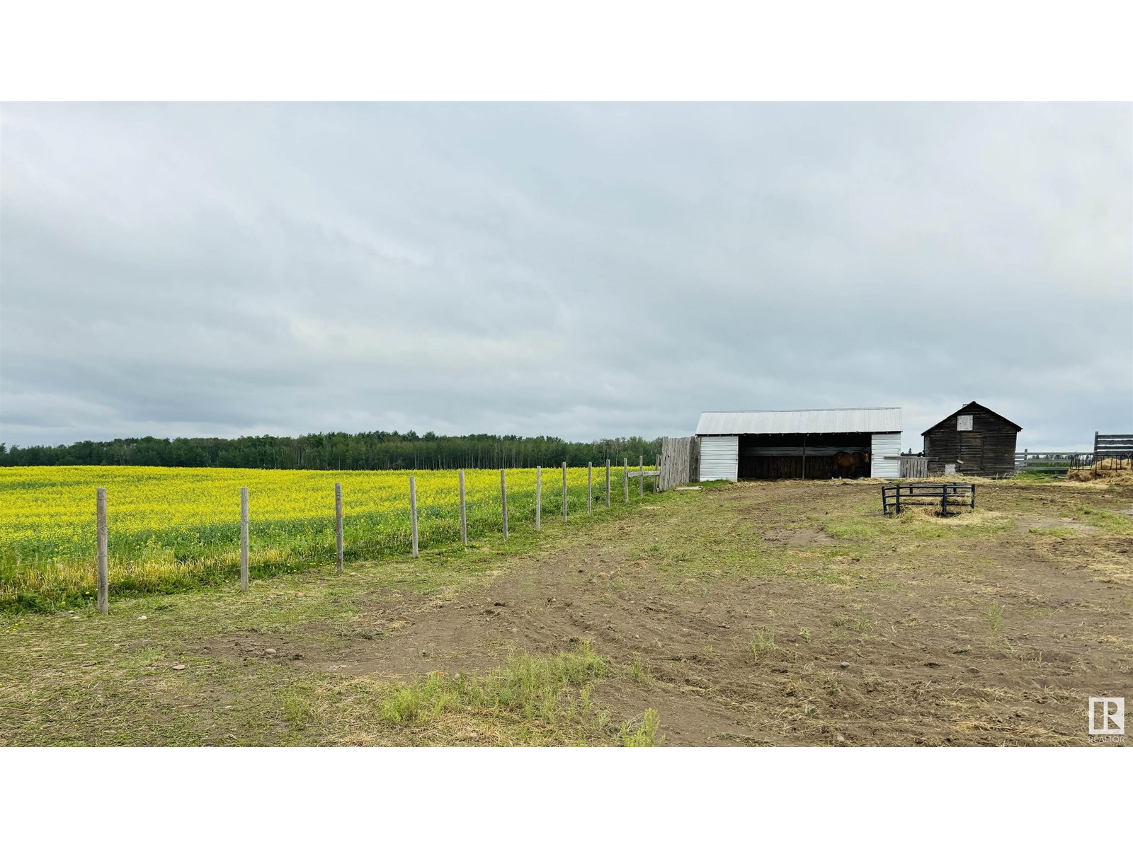 57102 Rge Rd 263, Rural Sturgeon County, Alberta  T8R 0Y1 - Photo 30 - E4397480