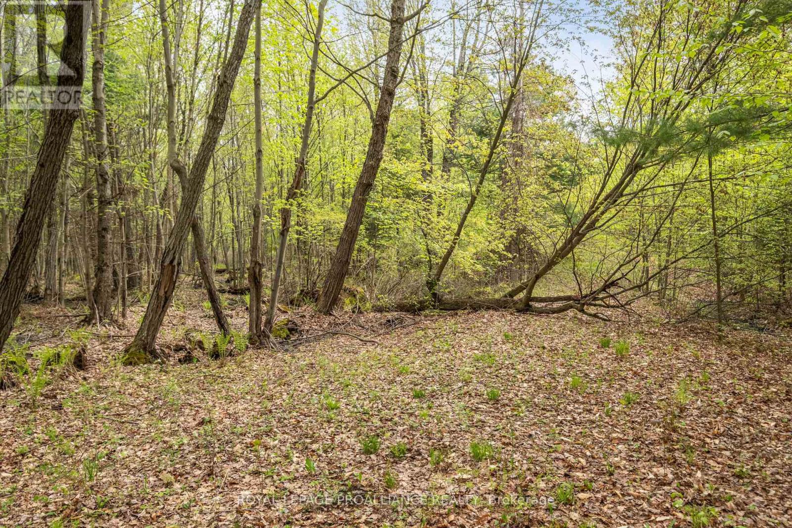 Lot 16 Warrington Lane, Central Frontenac, Ontario  K0H 2P0 - Photo 16 - X8346284