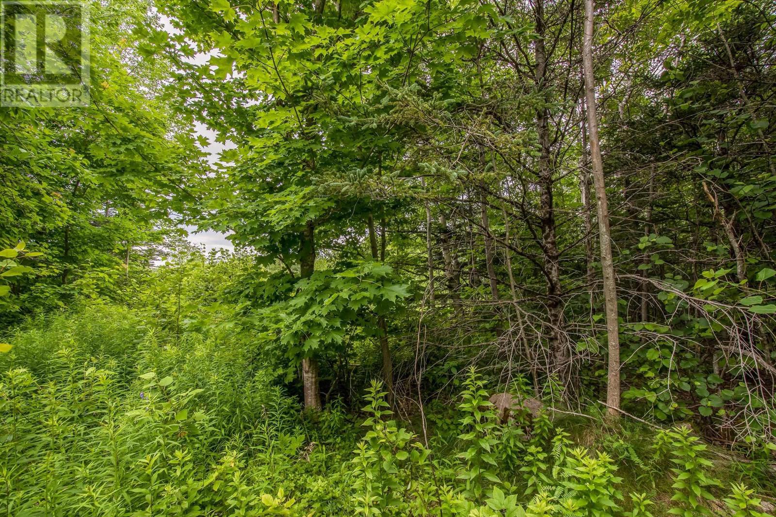 Lot Bishop Mountain Road, East Margaretsville, Nova Scotia  B0P 1R0 - Photo 9 - 202416745