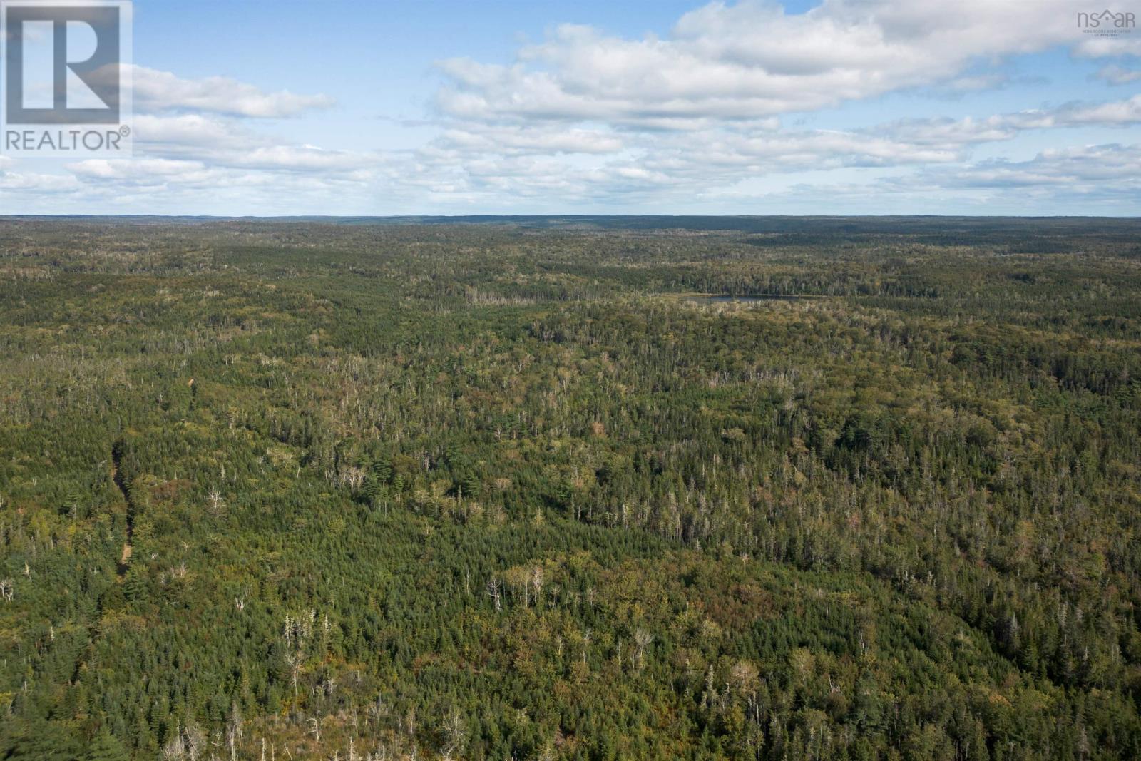 166 Acres 344 Highway, Manassette Lake, Nova Scotia  B0E 2G0 - Photo 11 - 202416778