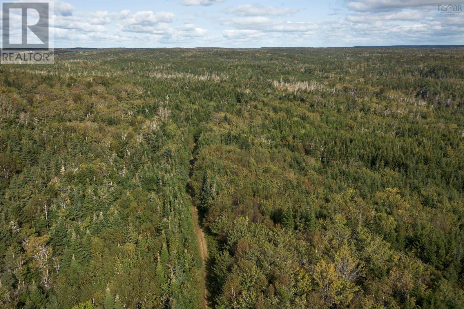 166 Acres 344 Highway, Manassette Lake, Nova Scotia  B0E 2G0 - Photo 12 - 202416778