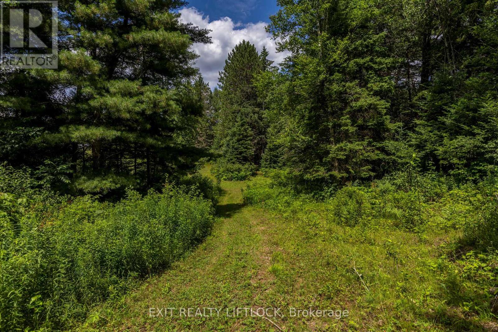 388 Bobcaygeon Road, Minden Hills, Ontario  K0M 2K0 - Photo 36 - X9038994