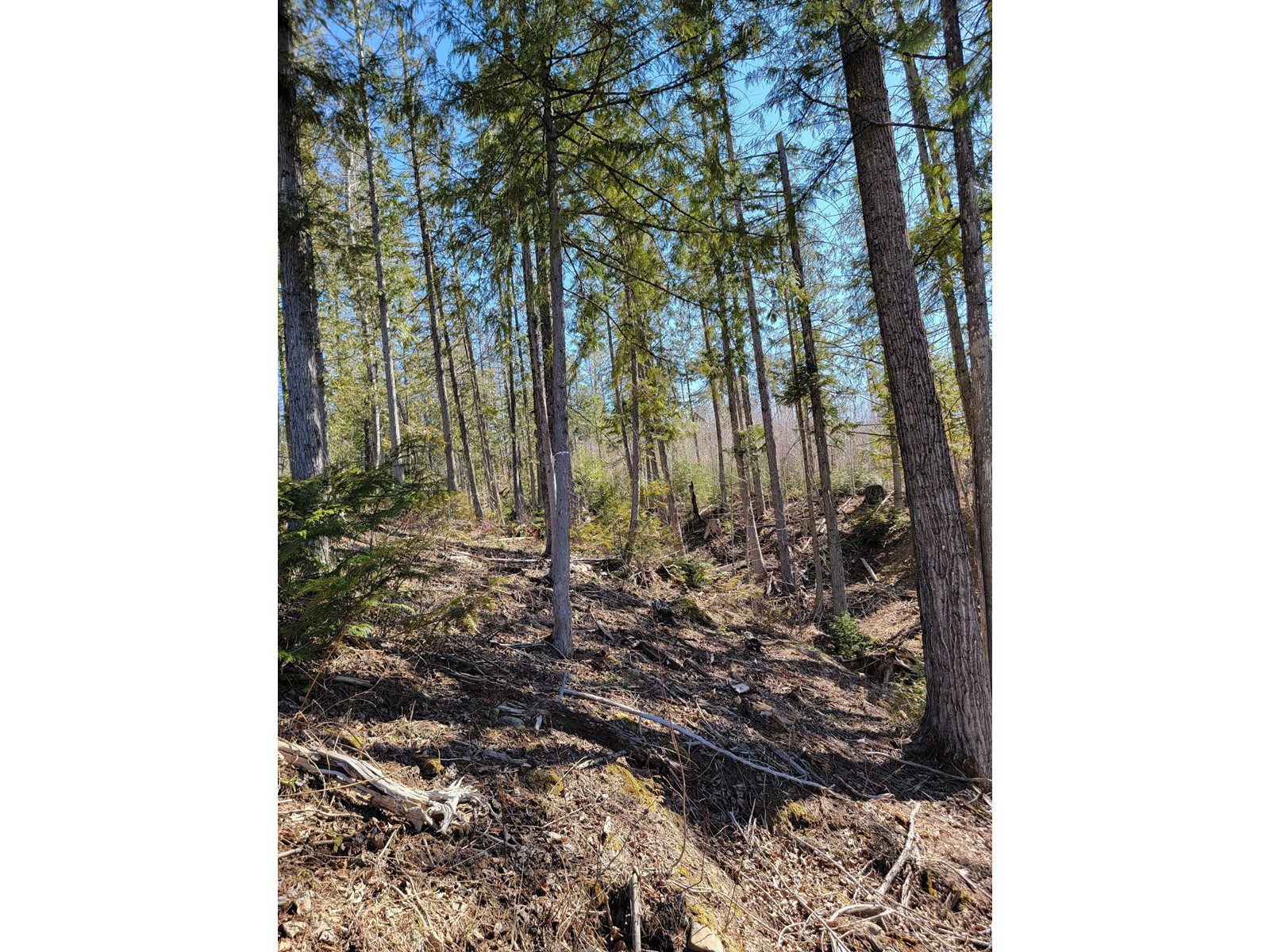 Proposed - Lot 91 Montane Parkway, Fernie, British Columbia  V0B 1M4 - Photo 15 - 2478415