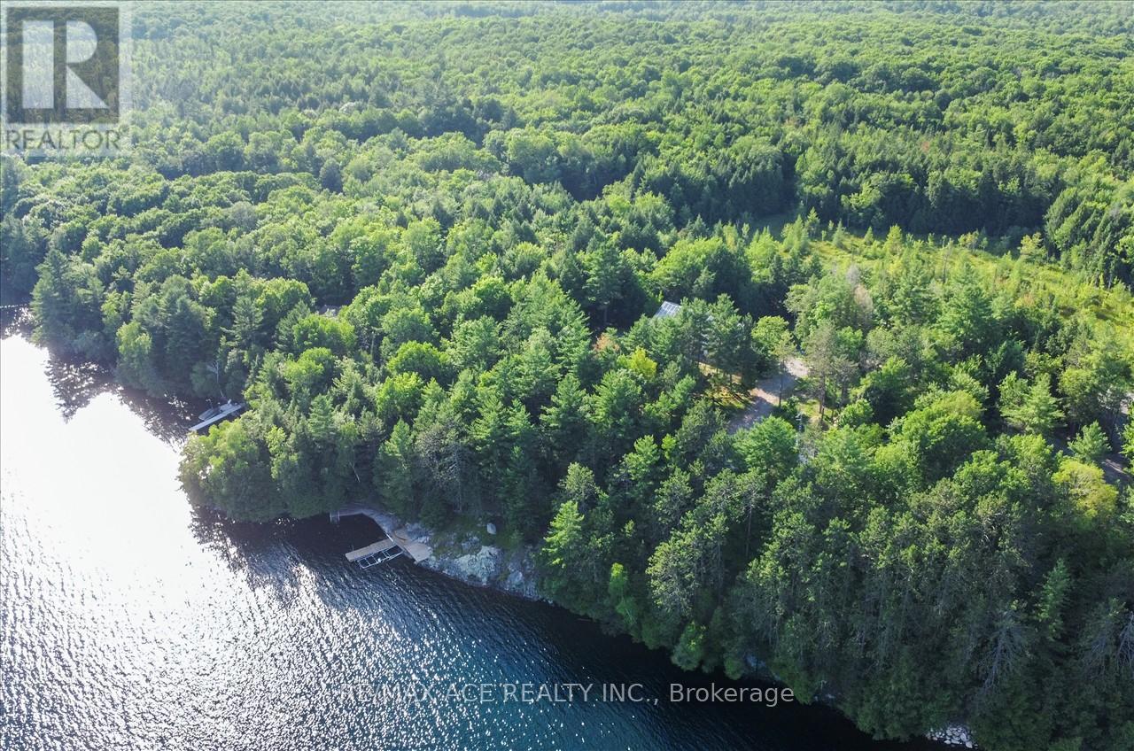 111&119 Gazelle Trail, North Kawartha, Ontario  K0L 1A0 - Photo 32 - X9039883