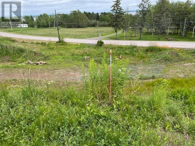 Lot 23-4 Highway 376, Lyons Brook, Nova Scotia  B0K 1H0 - Photo 3 - 202416845