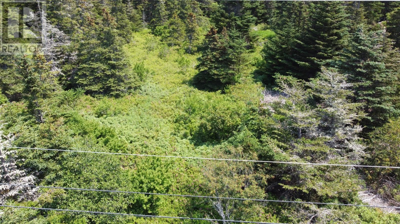 0 Mcnamara Crescent, Harbour Grace, Newfoundland & Labrador  A0A 2M0 - Photo 5 - 1274847