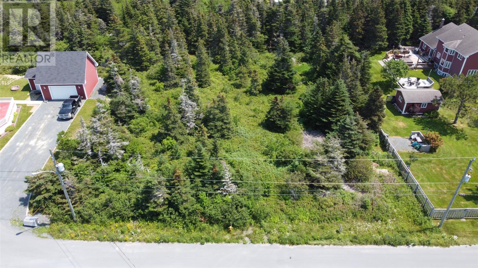 0 Mcnamara Crescent, Harbour Grace, Newfoundland & Labrador  A0A 2M0 - Photo 6 - 1274847