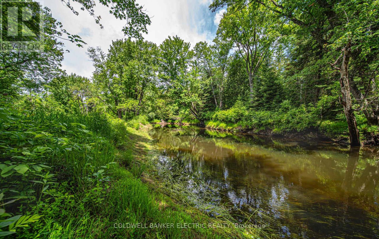 76 Jack White Road, North Kawartha, Ontario  K0L 1A0 - Photo 1 - X9040237