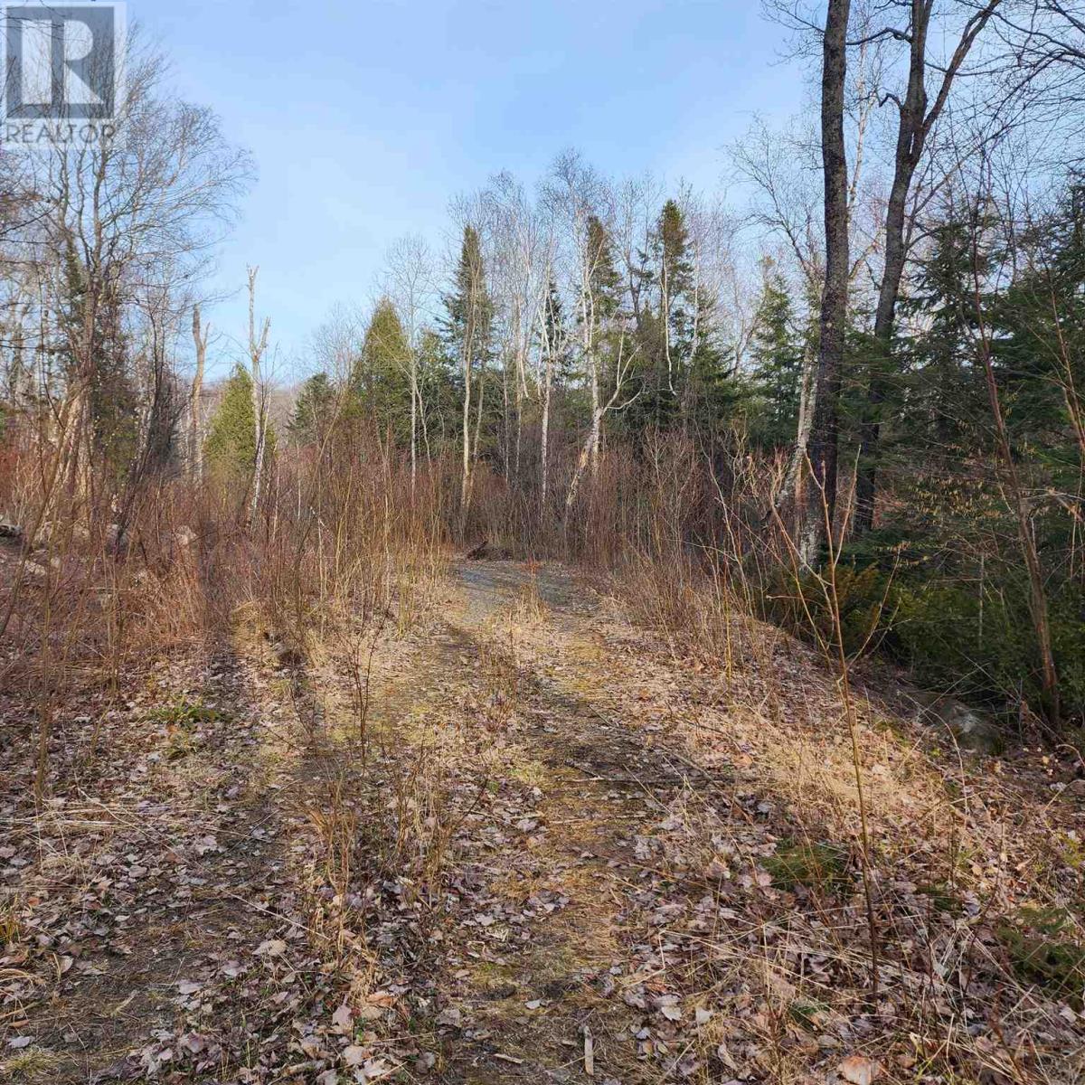 80 Lighthouse Point Dr, Thessalon, Ontario  P0R 1L0 - Photo 31 - SM241796