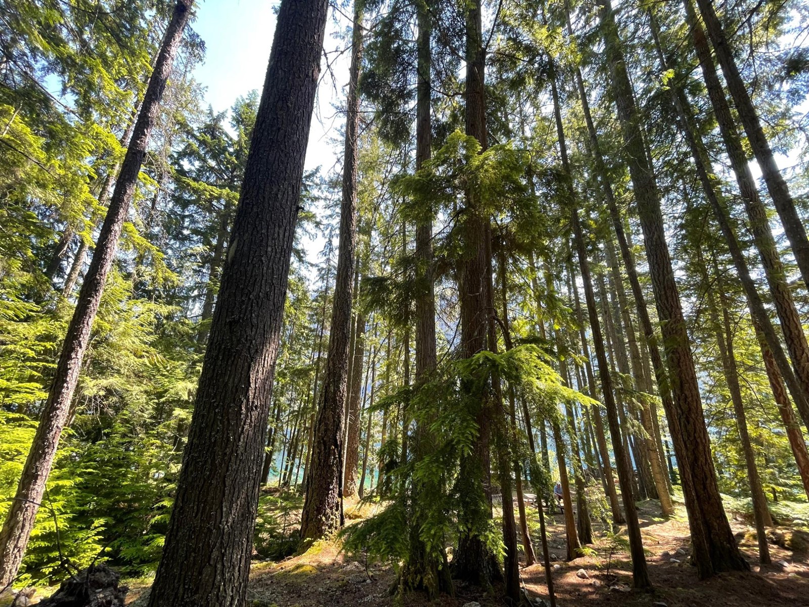 Lot 2 Slocan Lake Boat Access, Slocan, British Columbia  V0G 2C0 - Photo 36 - 2478263