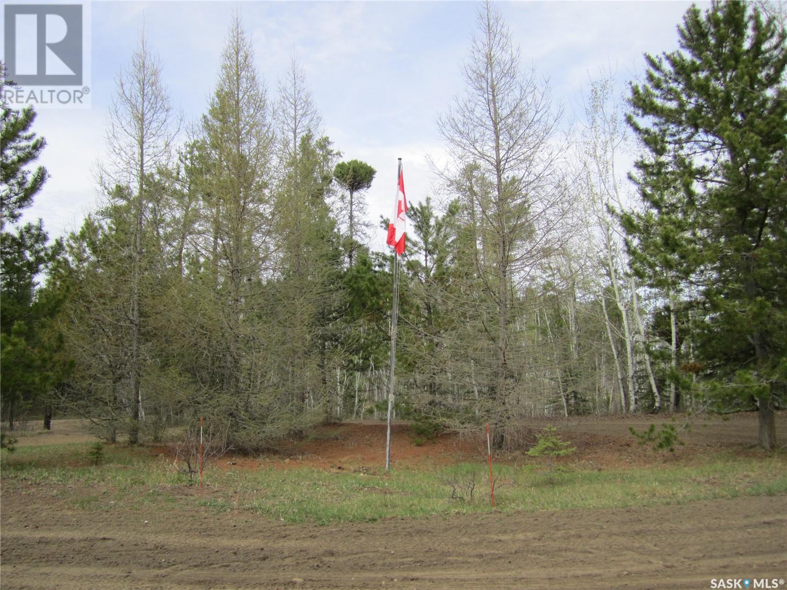 Township Road 490, Buckland, Buckland Rm No. 491, Saskatchewan  S6V 5R3 - Photo 29 - SK968797