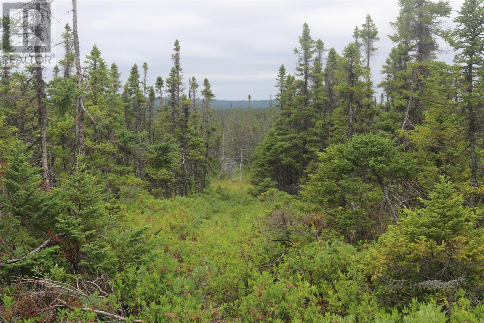 Lot 25-26 Sandy Stream Road, Howley, Newfoundland & Labrador  A0K 3E0 - Photo 16 - 1274894