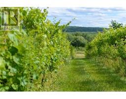 1826 124 Route, springfield, New Brunswick