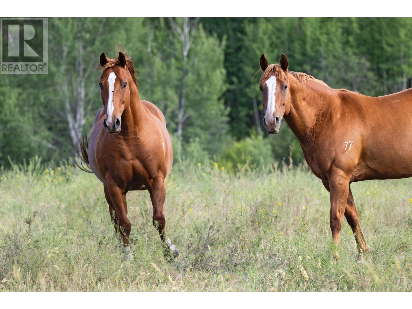 Lot 7 Tranquille Criss Crk Road, Kamloops, British Columbia  V2H 1T7 - Photo 16 - 179902