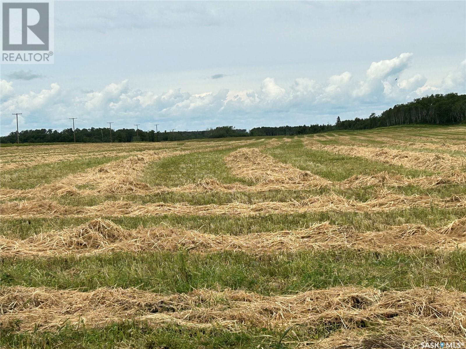 Pelly Farm, Livingston Rm No. 331, Saskatchewan  S0A 2Z0 - Photo 25 - SK976716