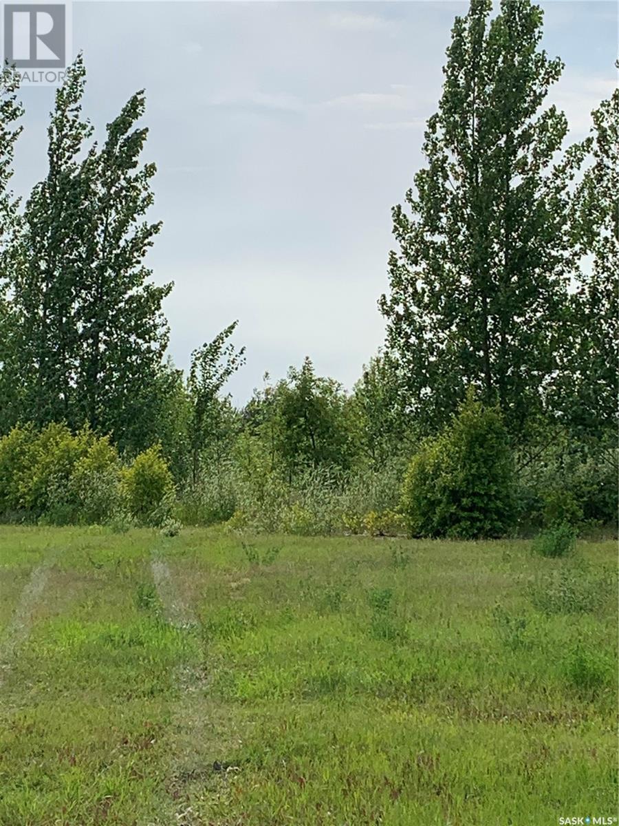 10 Lucien Lakeshore Drive, Lucien Lake, Saskatchewan  S0K 2X0 - Photo 4 - SK976984