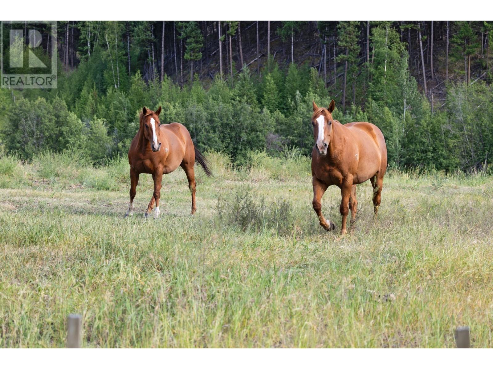 Lot 7 Tranquille Criss Crk Road, Kamloops, British Columbia   - Photo 22 - 179902