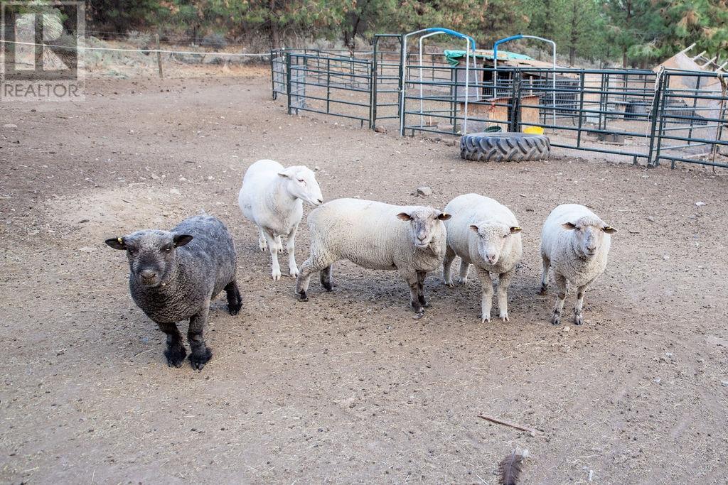 4377 Shuswap Rd, Kamloops, British Columbia  V2H 1S8 - Photo 41 - 179913