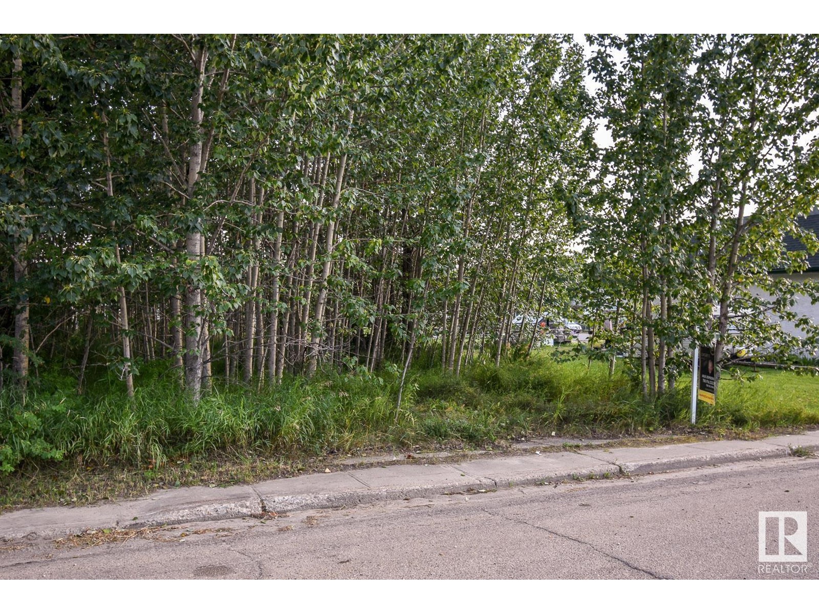 5121 50 Av, Entwistle, Alberta  T0E 0S0 - Photo 1 - E4397910