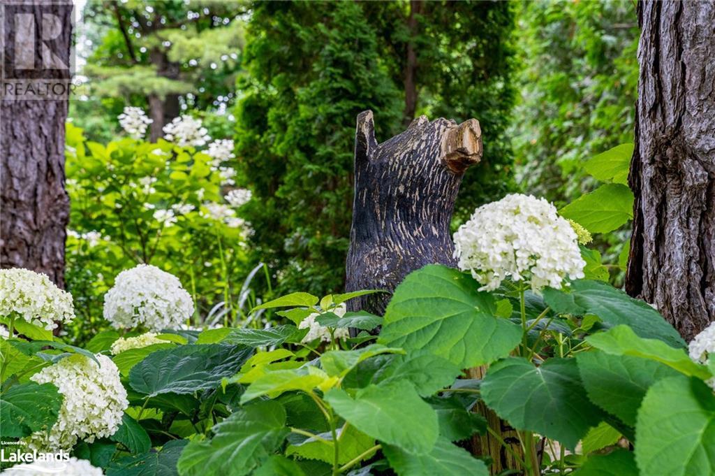 151 Sleepy Hollow Road, The Blue Mountains, Ontario  L9Y 0S8 - Photo 42 - 40619743