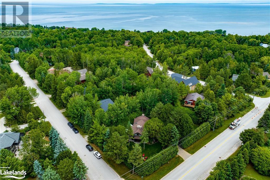 151 Sleepy Hollow Road, The Blue Mountains, Ontario  L9Y 0S8 - Photo 46 - 40619743