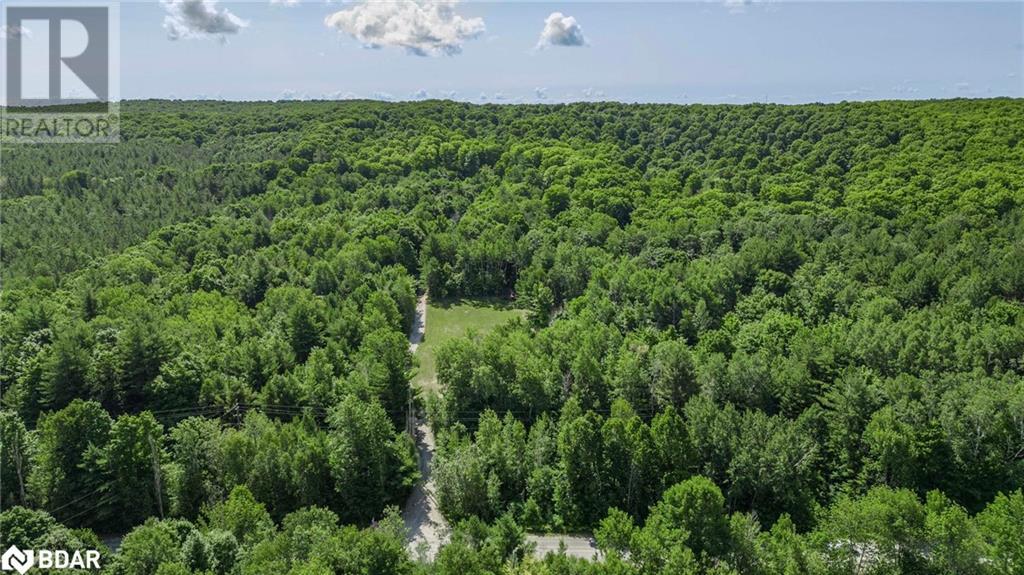 1241 Bass Lake Sideroad E, Oro-Medonte, Ontario  L0L 1T0 - Photo 50 - 40616170