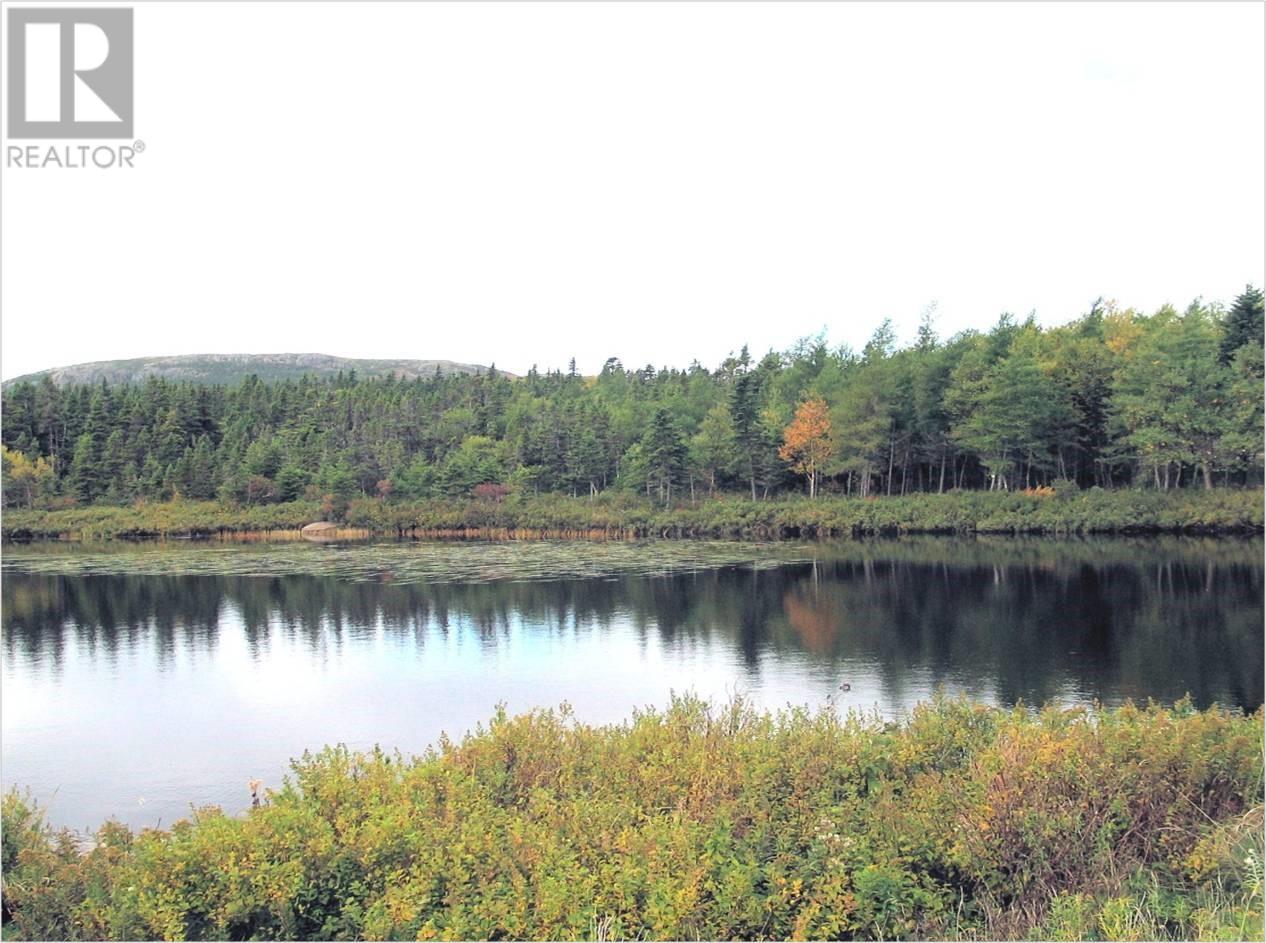 12-14 Mountain Crescent, Pouch Cove, Newfoundland & Labrador  A0A 3L0 - Photo 3 - 1275052