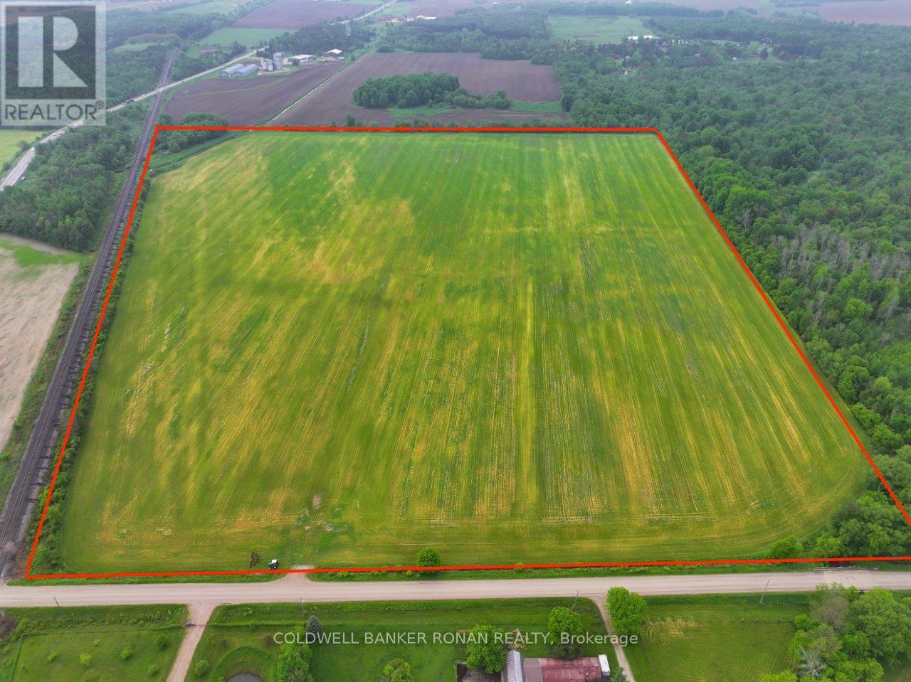 6817 10th Line, New Tecumseth, Ontario  L0G 1A0 - Photo 2 - N8376398