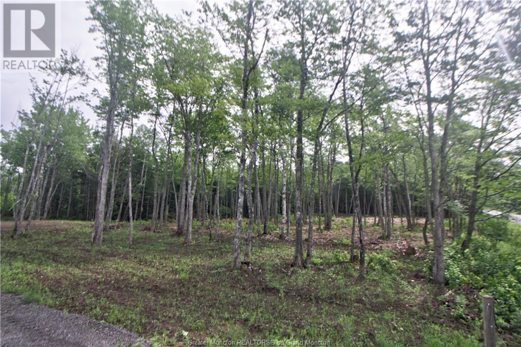 Lot 23-2 California Road, Galloway, New Brunswick  E4W 2K2 - Photo 1 - M161121