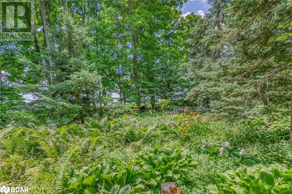 4507 10th Li Line, Bradford, Ontario  L0G 1A0 - Photo 33 - 40622078