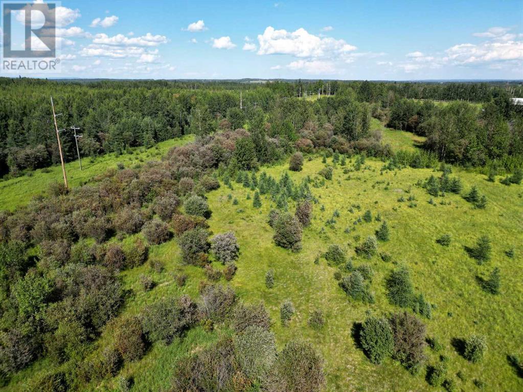 Property at 18032 TOWNSHIP ROAD 532A image 5