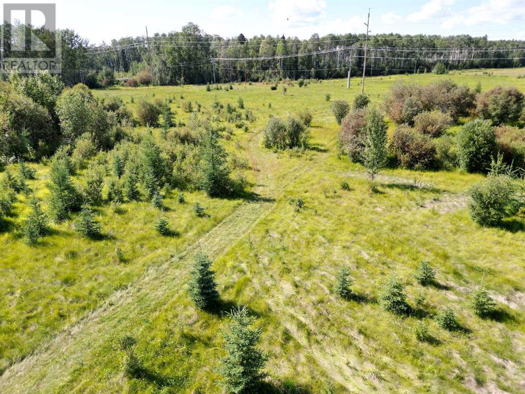 Property at 18032 TOWNSHIP ROAD 532A image 4