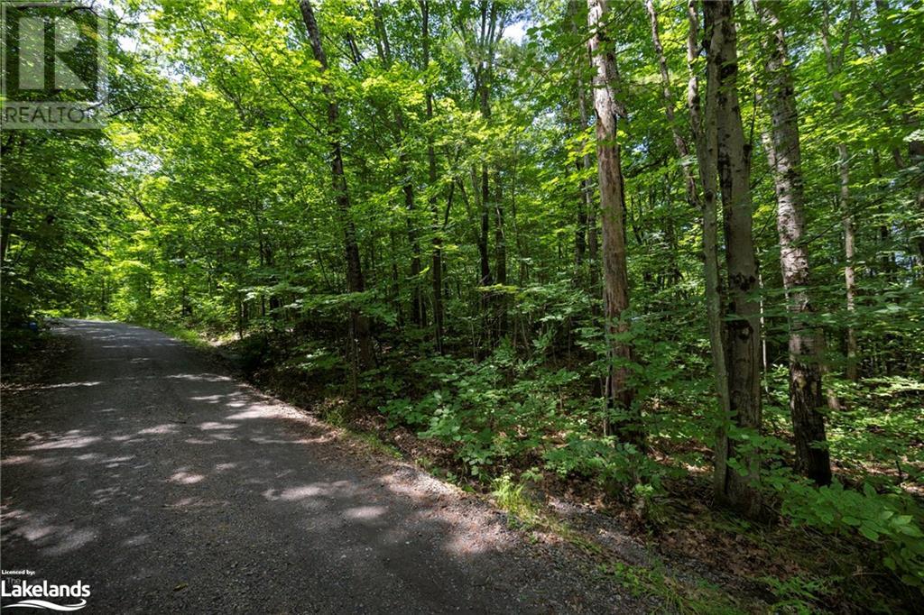 2867 Muskoka Rd 118 W Unit# 0, Port Carling, Ontario  P0B 1J0 - Photo 6 - 40621671