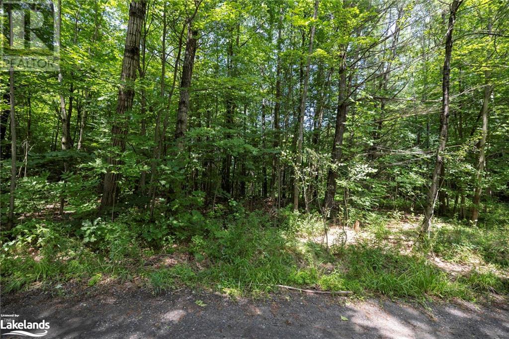 2867 Muskoka Rd 118 W Unit# 0, Port Carling, Ontario  P0B 1J0 - Photo 7 - 40621671