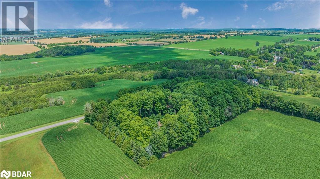 4507 10th Li Line, Bradford, Ontario  L0G 1A0 - Photo 35 - 40622078