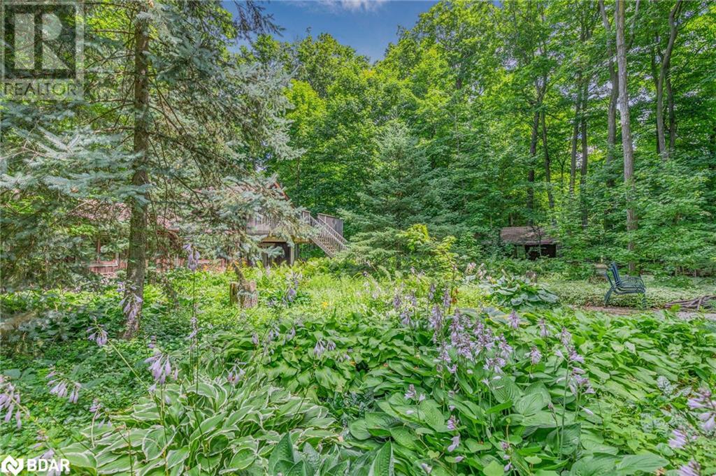 4507 10th Li Line, Bradford, Ontario  L0G 1A0 - Photo 32 - 40622078