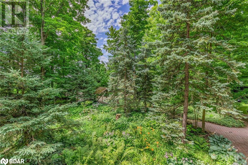 4507 10th Li Line, Bradford, Ontario  L0G 1A0 - Photo 28 - 40622078