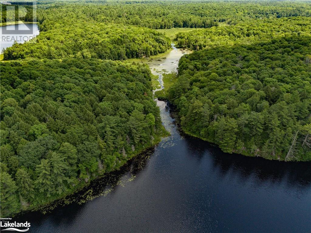 1000 West Buck Lake Road, Bracebridge, Ontario  P1L 1X1 - Photo 11 - 40622185