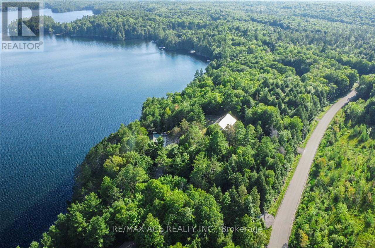 111&119 Gazelle Trail, North Kawartha, Ontario  K0L 1A0 - Photo 1 - X9039883