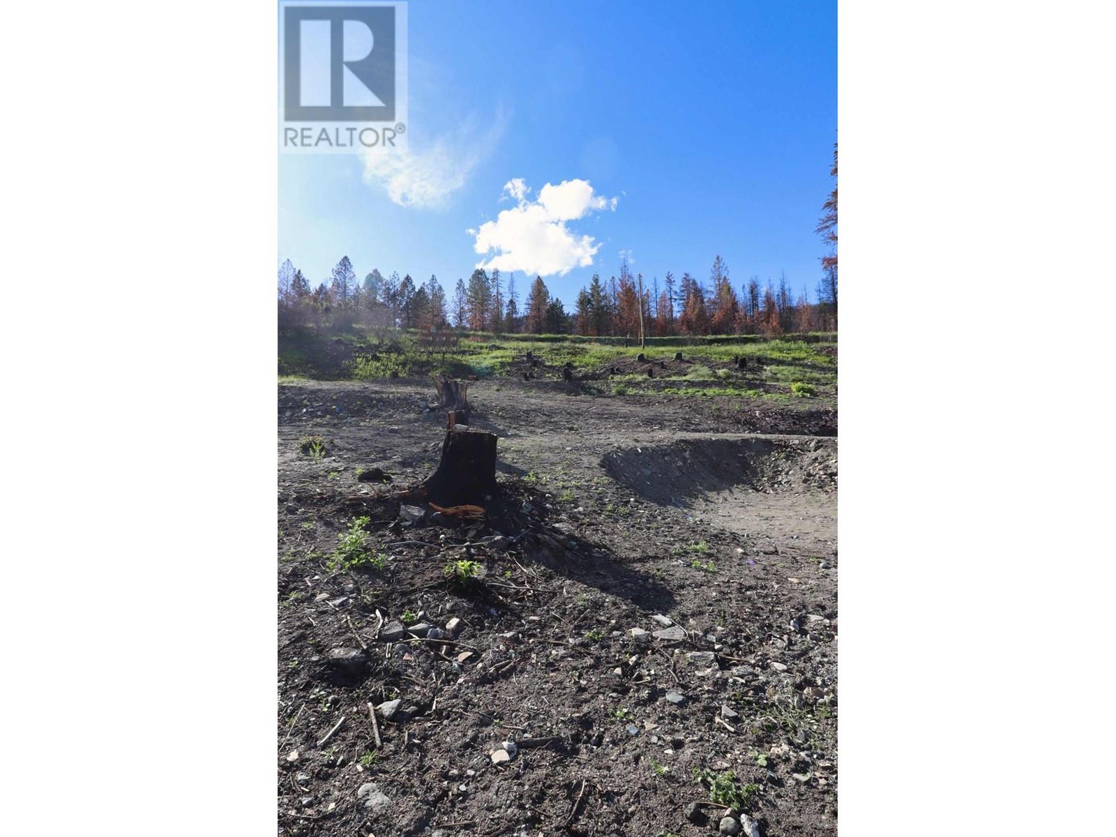 1419 Little Shuswap Lake Road, Chase, British Columbia  V0E 1M2 - Photo 20 - 179955