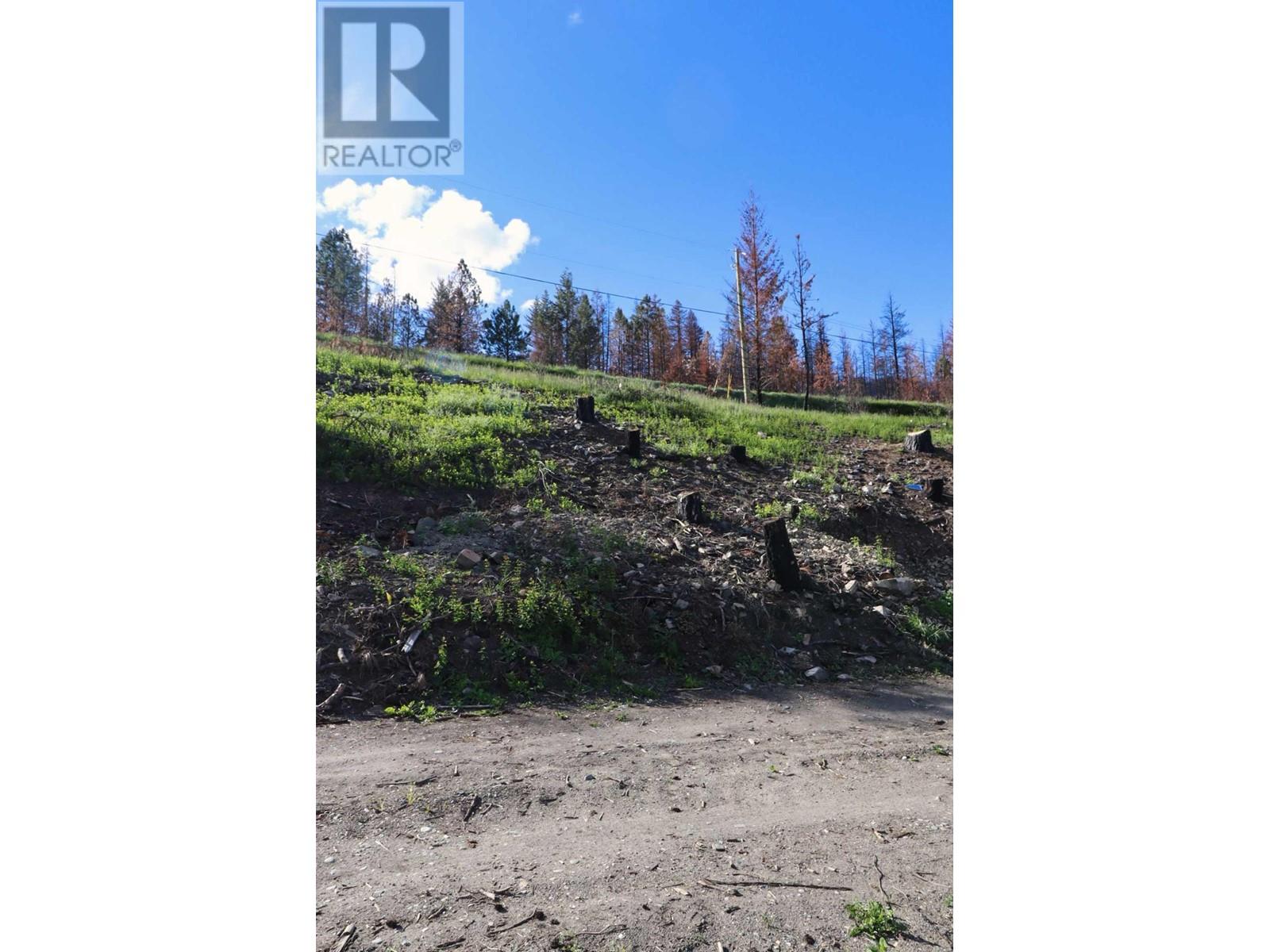 1419 Little Shuswap Lake Road, Chase, British Columbia  V0E 1M2 - Photo 9 - 179955