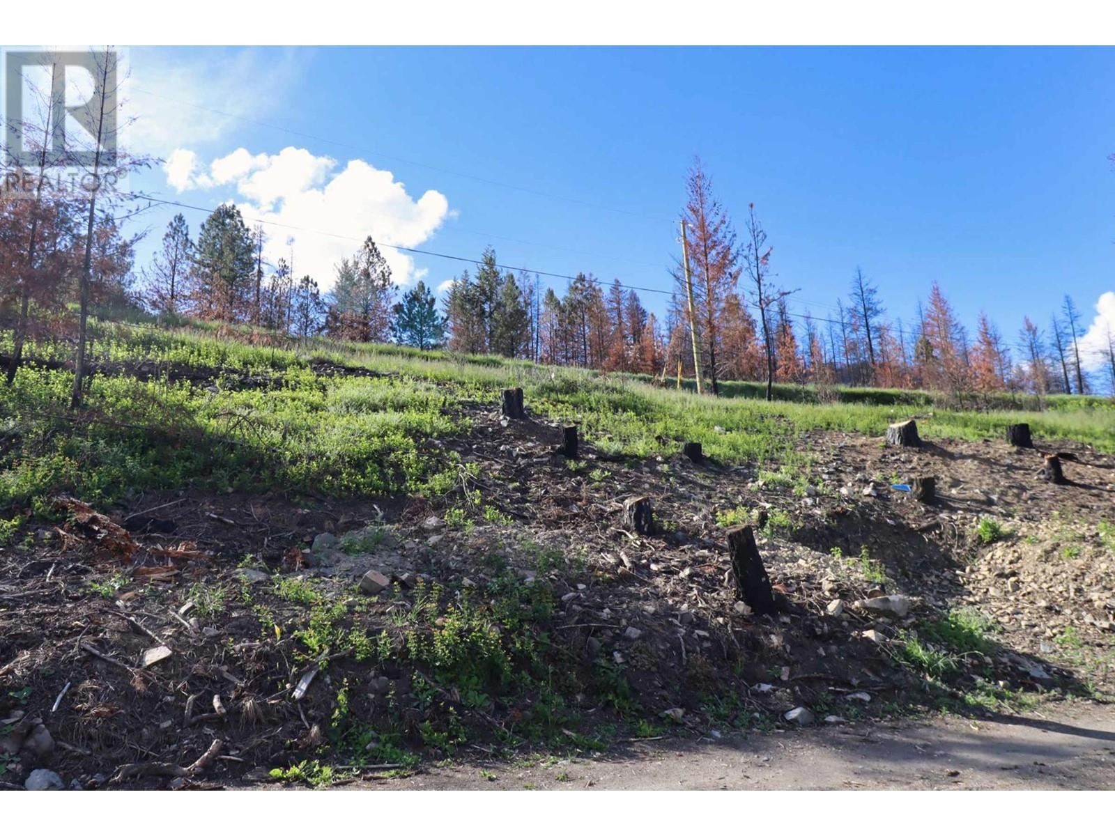 1419 Little Shuswap Lake Road, Chase, British Columbia  V0E 1M2 - Photo 17 - 179955