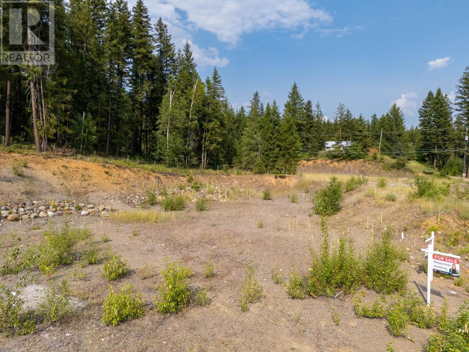 465 Lytton Cres, Clearwater, British Columbia   - Photo 1 - 179842