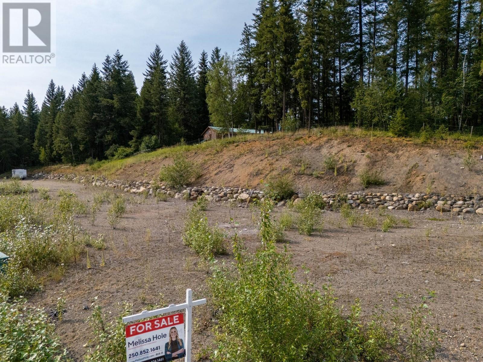 465 Lytton Cres, Clearwater, British Columbia   - Photo 4 - 179842