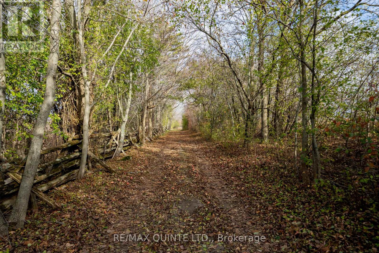 381 Partridge Hollow Road, Prince Edward County (Hillier), Ontario  K0K 1T0 - Photo 23 - X9039026